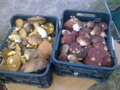 autumn2010_01.jpg